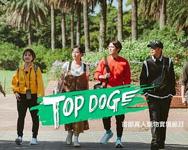 糖心原创vlog《TOP DOG》免费在线观看