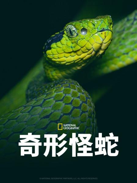 糖心官网《奇形怪蛇》免费在线观看